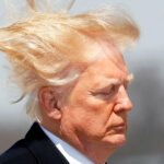 Donald Trump's hair