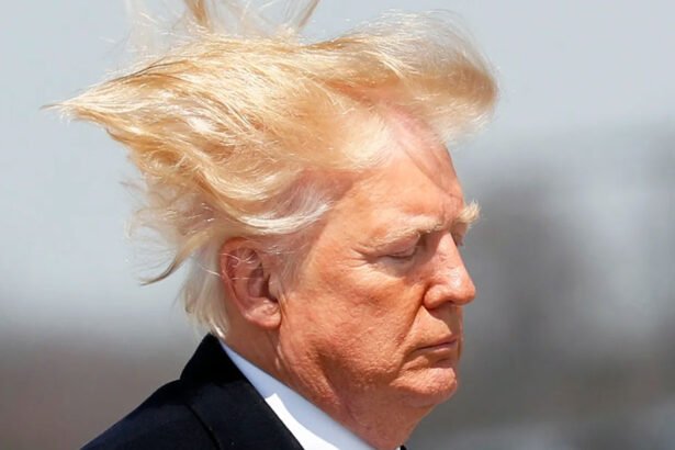 Donald Trump's hair