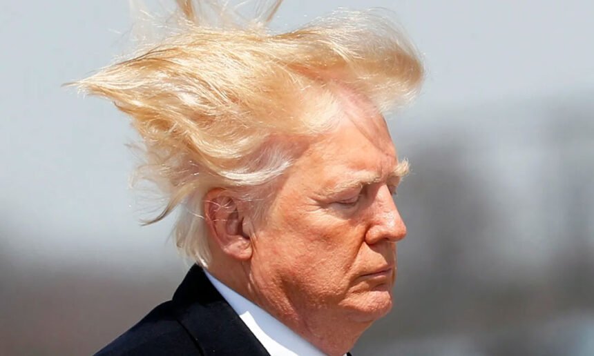 Donald Trump's hair