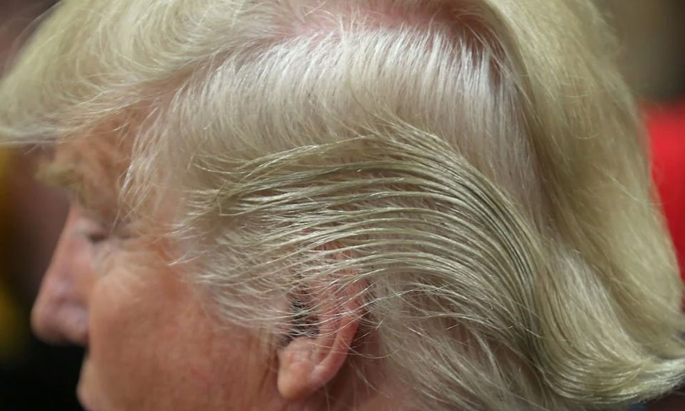 Donald Trump's complicated hairstyle. 