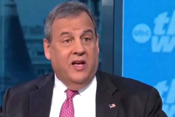 Chris Christie Predicts Trump Will Throw Musk Under the Bus When Things Go Wrong: 'He'll Blame Elon'