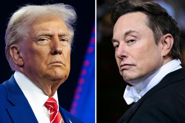 This Will Not End Well: The Trump-Musk Alliance is Falling Apart and It Could Get Ugly