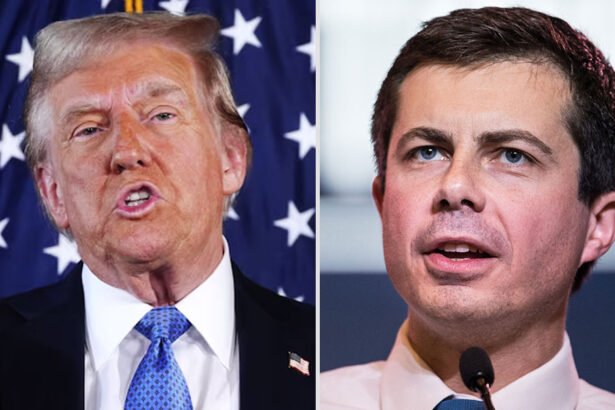 Pete Buttigieg Fires Back at Trump After 'Despicable' Plane Crash Press Conference Rant