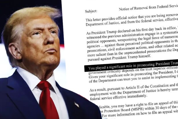 Trump Fires DOJ Officials Who Handled His Criminal Cases, Opens 'Special Review' into Jan 6 Charges