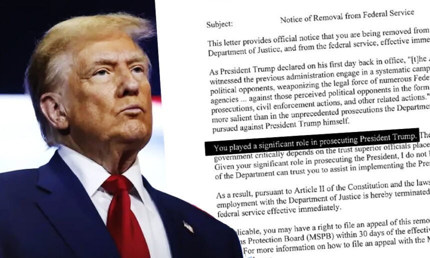 Trump Fires DOJ Officials Who Handled His Criminal Cases, Opens 'Special Review' into Jan 6 Charges