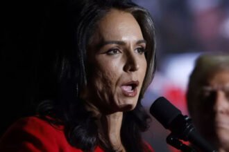 Tulsi Gabbard’s Nomination in Limbo Over Missing FBI Background Check