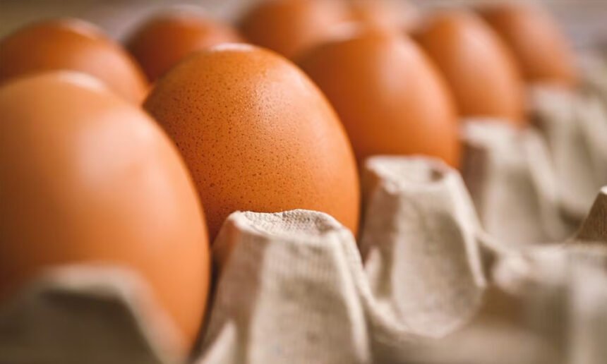 Egg Prices Hit Record Highs the Week Trump Took Office, and Could Rise Even More