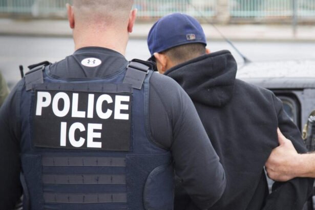 Trump Empowers ICE to Revoke Legal Status of Hundreds of Thousands of Migrants and Deport Them