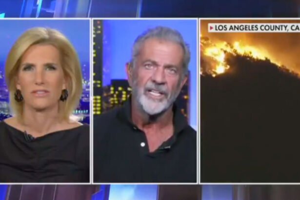 Mel Gibson Floats Conspiracy Theory About 'Convenient' LA Fires Being Done on Purpose