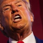 Trump Throws Furious Fit Over Court Upholding Felony Conviction