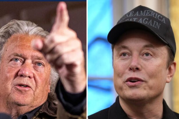 Steve Bannon Calls Elon Musk a 'Parasitic Illegal Immigrant' in Escalation of MAGA Fight