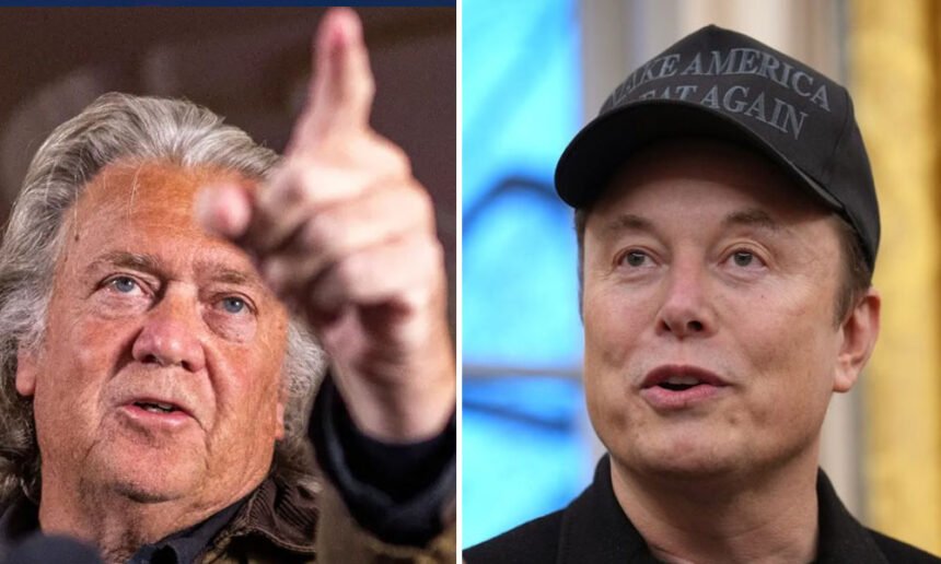 Steve Bannon Calls Elon Musk a 'Parasitic Illegal Immigrant' in Escalation of MAGA Fight