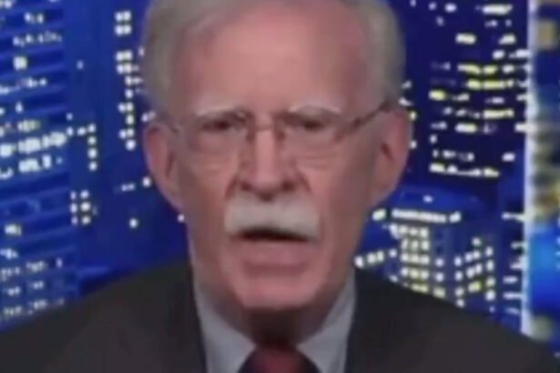 'He's Not Fit': John Bolton Says 'Trump's Mind is Full of Mush and He Says Whatever Comes Into It'