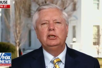 Lindsey Graham Demands Zelensky 'Apologize' to Trump or 'Face the Consequences'