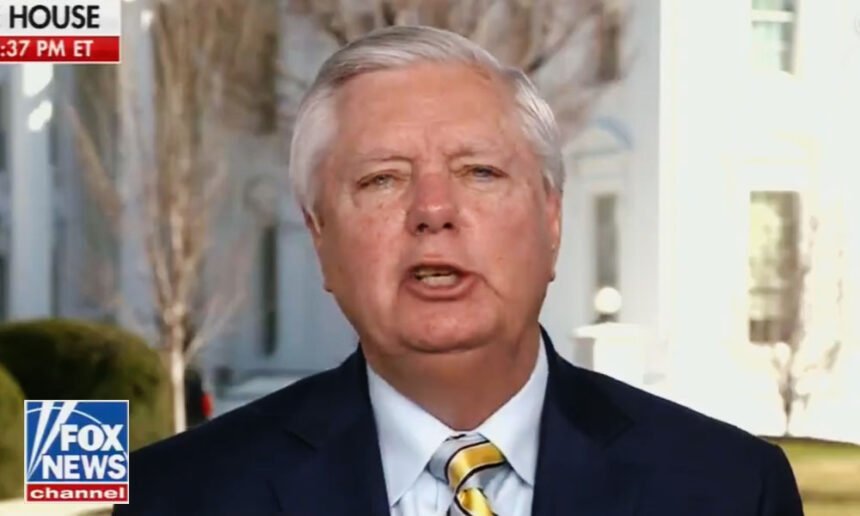 Lindsey Graham Demands Zelensky 'Apologize' to Trump or 'Face the Consequences'