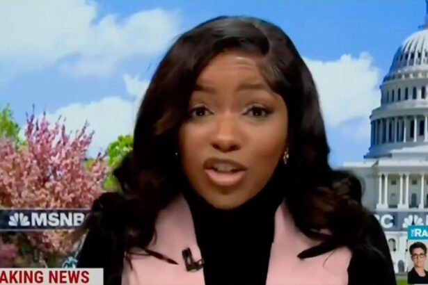 Jasmine Crockett on Trump: We Have a ‘Full-Fledged Criminal’ President, Then They 'Act Aghast When He Does Criminal Things'