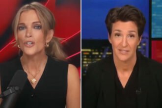 Megyn Kelly Rips into Rachel Maddow, Demands Her Firing for Criticizing MSNBC's Purge of Non-White Hosts