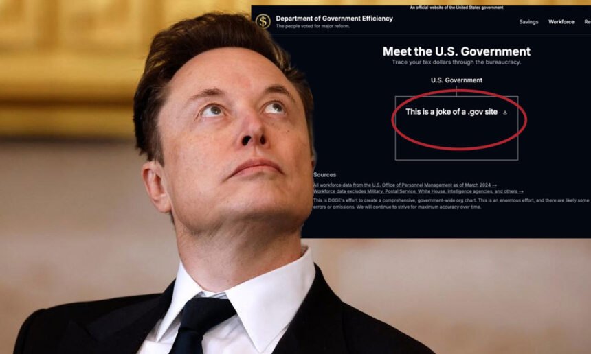 DOGE Website Hacked and Defaced — Internet Laughs at Musk: "These Experts Left Their Database Open