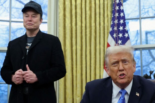 Court Filing: White House Now Says Musk is Not Part of DOGE, But a 'Senior Adviser to Trump'