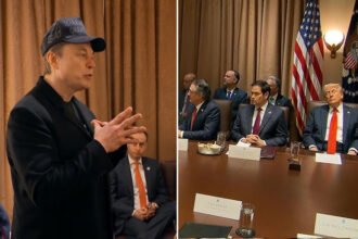 Elon Musk Takes Over Trump's Cabinet Meeting, Disparages Federal Workers as Trump Dozes Off