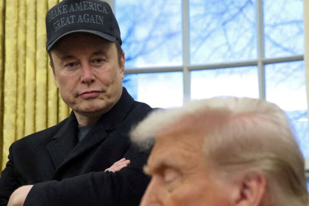 Musk Reportedly Called Trump ‘a F-cking Moron’ During White House Meeting in 2020