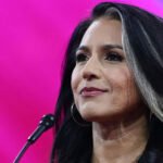 Senate Republicans Advance Tulsi Gabbard’s Nomination for DNI Despite Red Flags