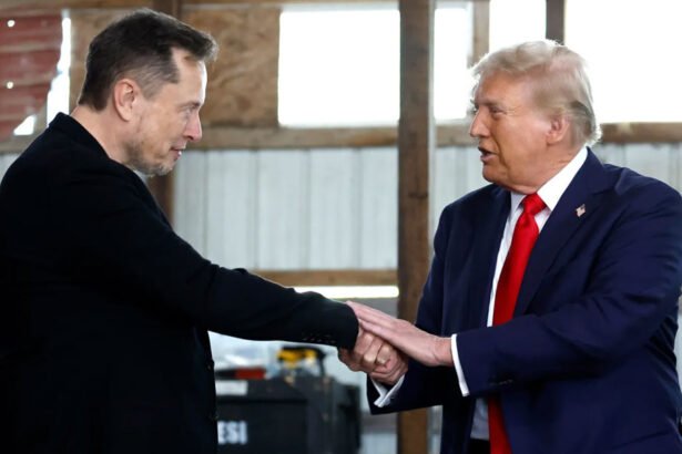 Trump Dismantles Federal Board Protecting Workers, Granting Elon Musk a Crushing Win Over Labor Laws