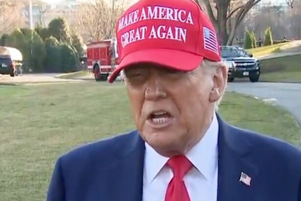 Trump says Zelensky shouldn't say 'Negative Things' About Vladimir Putin