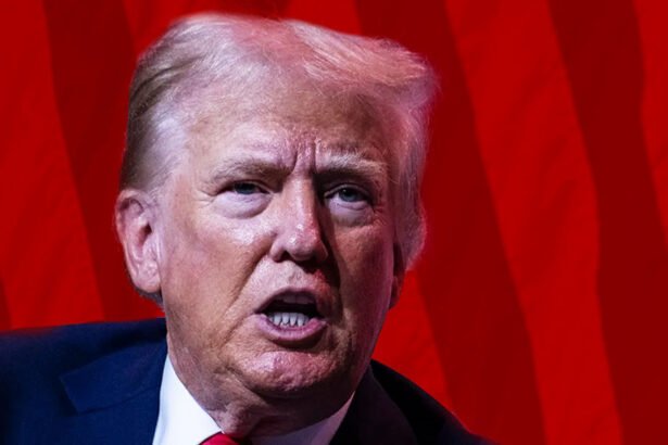 Trump Erupts in Late-Night Rant, Blasts Senate Dems For 'Purposefully Delaying All My Nominees'