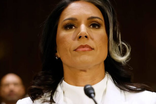 Tulsi Gabbard Confirmed as Intelligence Chief Amid Bipartisan Concerns