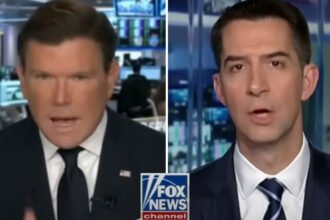 Fox News Host Confronts Tom Cotton on Trump’s Shocking Pro-Putin Rhetoric: ‘Ukraine Didn’t Fire Russian Missiles at Itself’