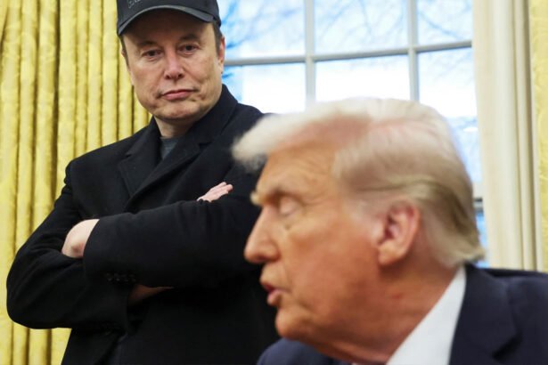 Trump and Musk Hit With 14 New Lawsuits Calling Their Actions 'Unconstitutional'