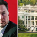 Top Trump Officials Tell Federal Employees to Defy Musk's Job Justification Threat