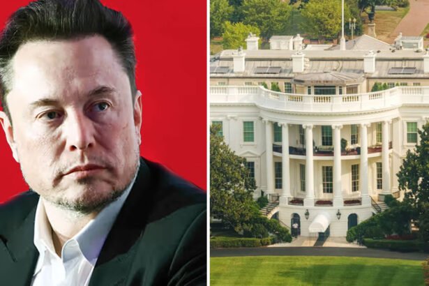 Top Trump Officials Tell Federal Employees to Defy Musk's Job Justification Threat