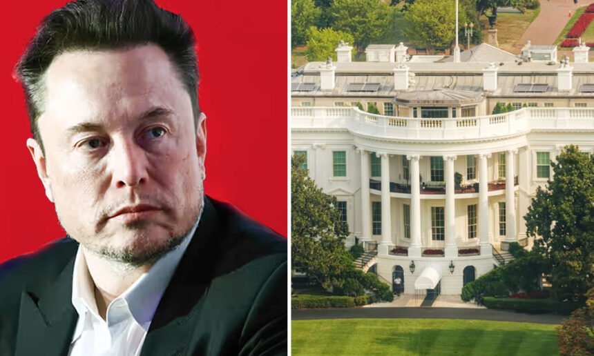 Top Trump Officials Tell Federal Employees to Defy Musk's Job Justification Threat