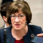 Susan Collins Slammed for Backing Trump’s Pro-Russia DNI Nominee