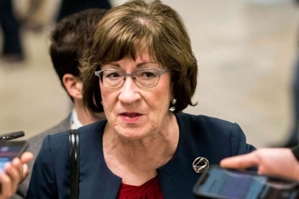 Susan Collins Slammed for Backing Trump’s Pro-Russia DNI Nominee