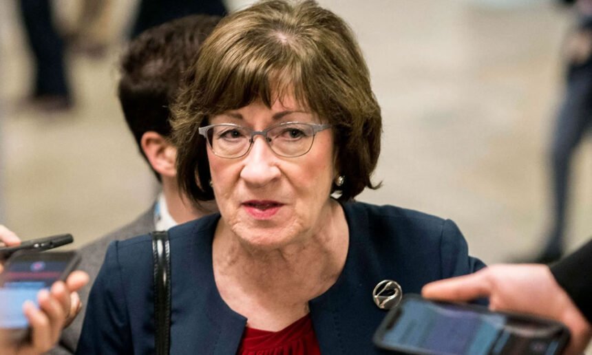 Susan Collins Slammed for Backing Trump’s Pro-Russia DNI Nominee