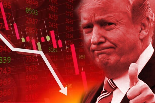 Stock Markets Plunge as Trump Tariffs Raise Fears of Economic Chaos