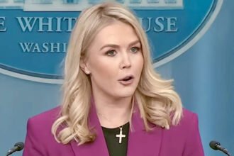 WH Press Secretary Implies Gov. Officials Follow Musk's Direction Ahead of Trump's Cabinet Meeting