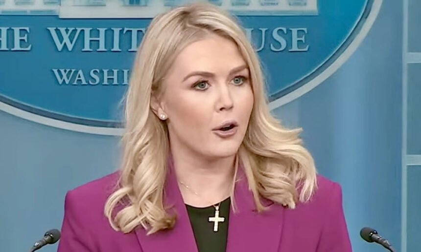WH Press Secretary Implies Gov. Officials Follow Musk's Direction Ahead of Trump's Cabinet Meeting