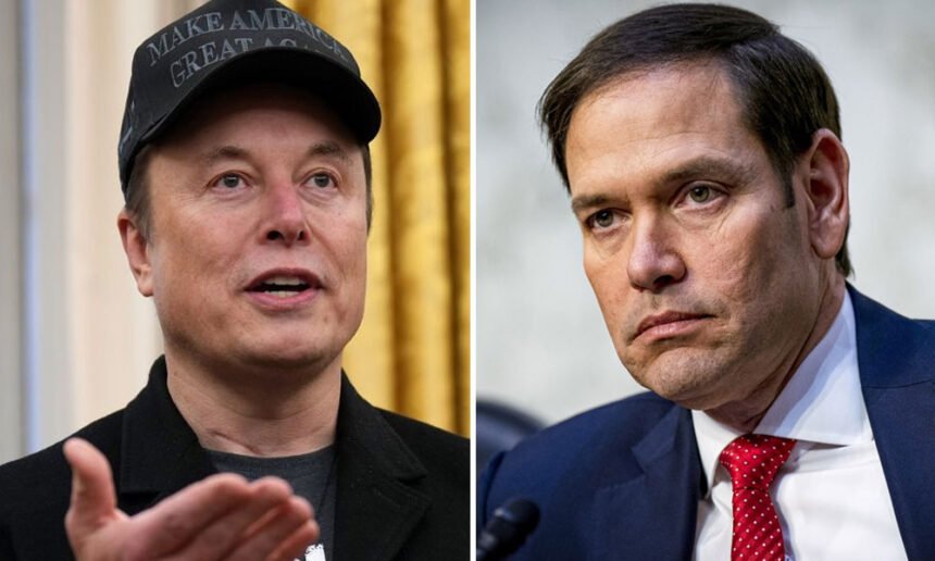 Explosive Argument Breaks Out Between Elon Musk and Marco Rubio At Cabinet Meeting: Report