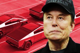 Investors Abandon Musk as Tesla’s Sales Implosion Sends Stock Into Freefall