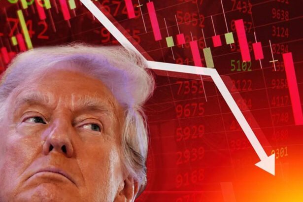 Trump Economic Approval Ratings Plummet as Inflation Fears Grow: Polls