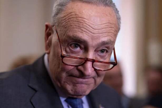 Schumer to Support GOP Spending Bill Despite Democratic Opposition, Preventing Shutdown