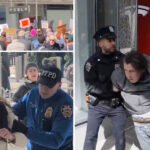 Protests Erupt Across the U.S. Against Musk's Role in Government, Many Arrested at Tesla Showroom in NY