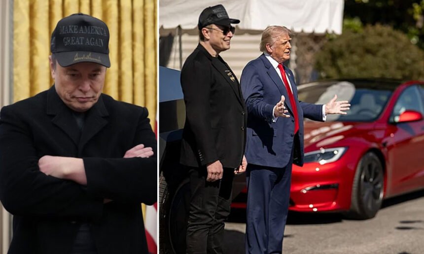 Hacker Group Claims Elon Musk's Emotional Breakdown in the Oval Office Sparked Trump’s Bizarre Tesla Stunt