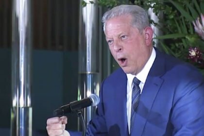 'Rise of Evil': Al Gore Drops Brutal Truthbomb on Trump With Haunting Historical Parallel