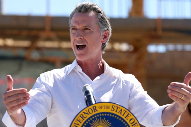 California to Negotiate Trade With Other Countries to Bypass Trump Tariffs