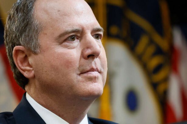 Sen. Adam Schiff Calls Out '‘Outdated’ Senate Democrats: Stop Cowering, Start Fighting Trump